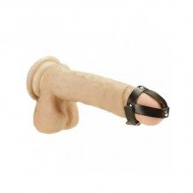 Penis strap-Adjustable