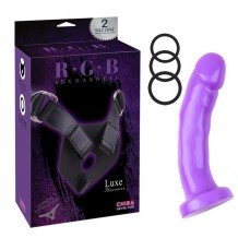 Arnes y Dildo Harness and Probe